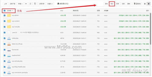 宝塔同时安装苹果cms海洋cms 安装网站程序